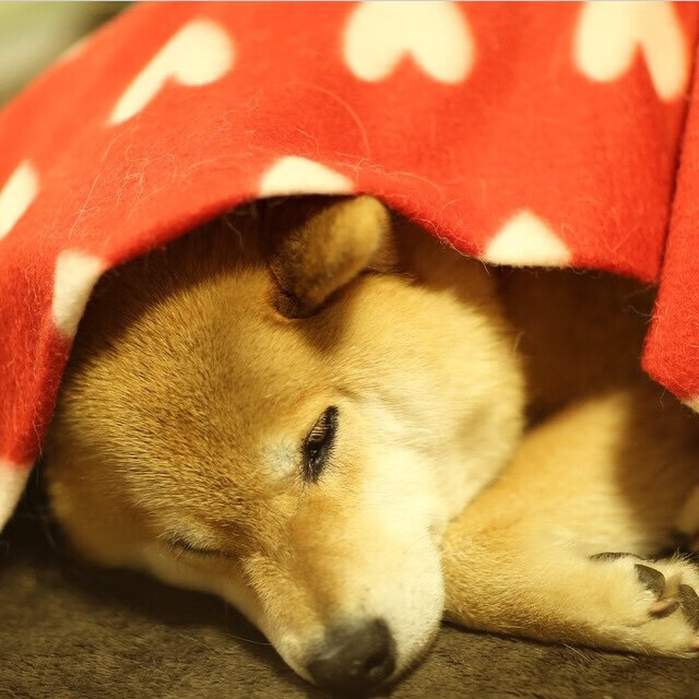 终场绝杀！佩雷兹弯道奇迹助梅赛德斯力压威廉姆斯，关键制胜改写赛道格局