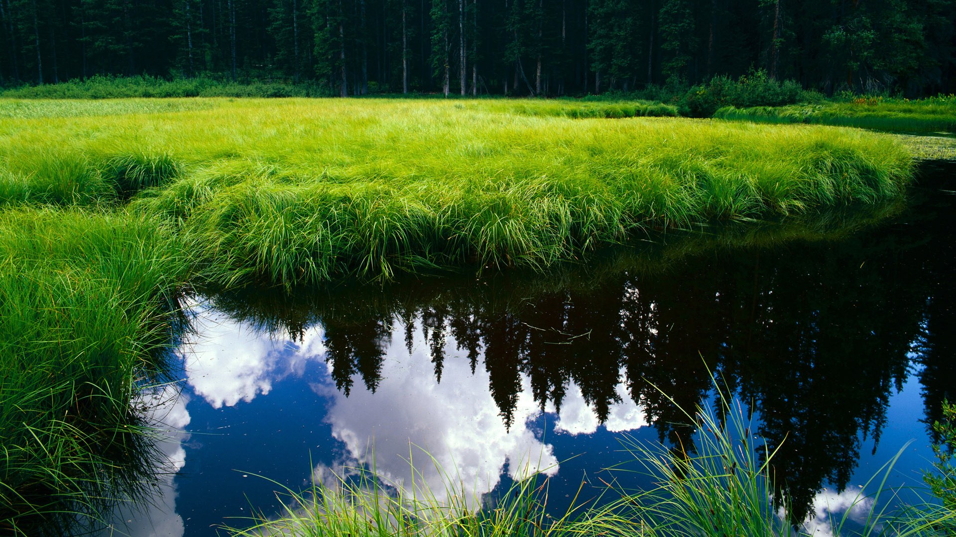 重剑无锋与唯快不破，范戴克的叹息之墙与马里的致命寒光