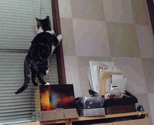 反常识的足球迷雾，阿森纳俱乐部式全面压制哥斯达黎加，迪马利亚竟成关键先生