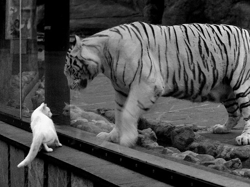 勒布朗·詹姆斯的幽灵对位,当太阳照亮标靶中心,谁在防守那个不在场的人?