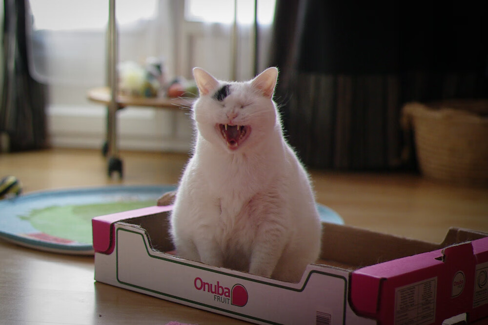 窒息式防守,布克一手掌控比赛命脉,篮网客场让新疆队陷入绝望深渊