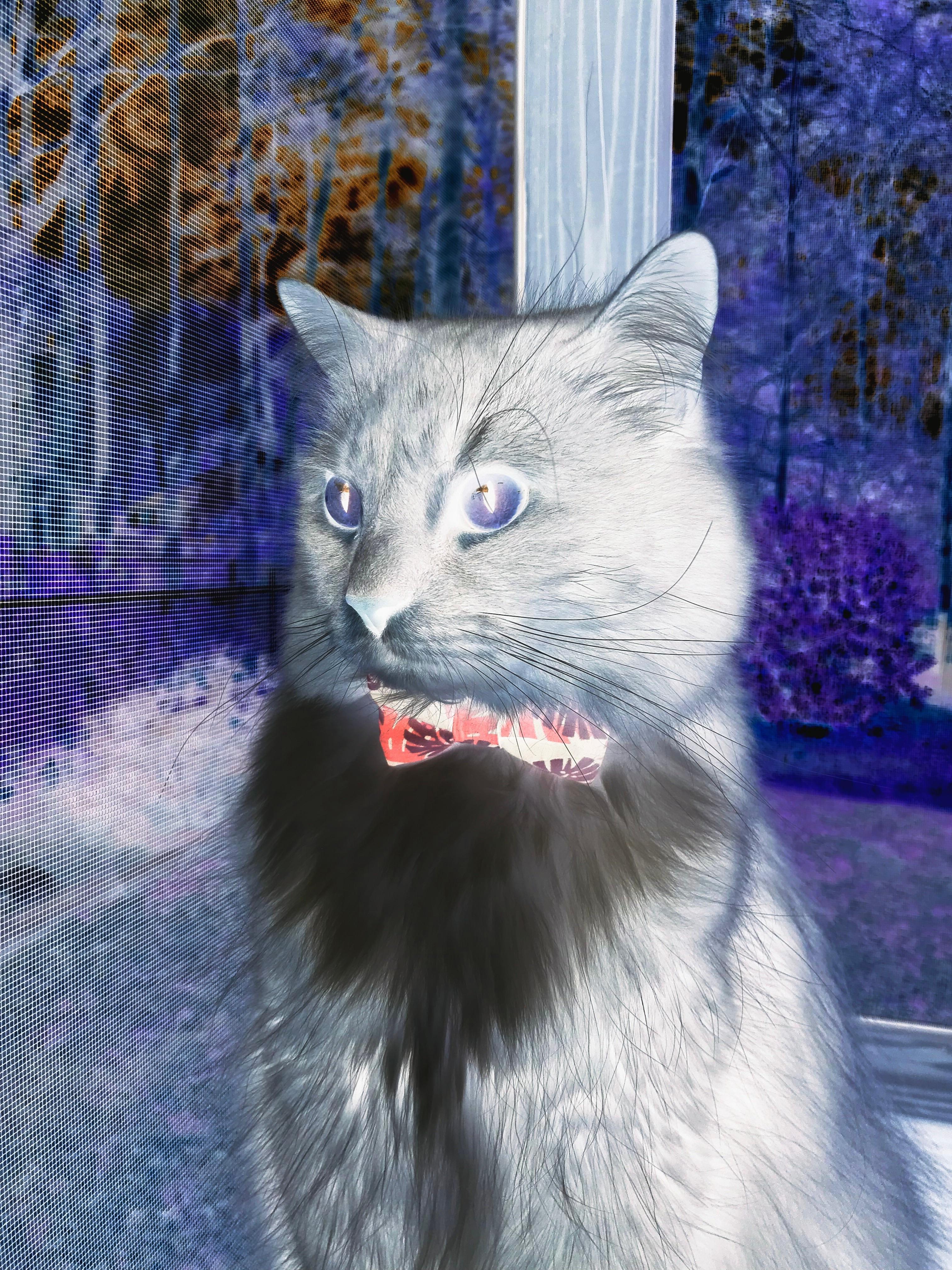 霍勒迪末节救主，一场硬仗背后的蜕变与掘金的战术密码