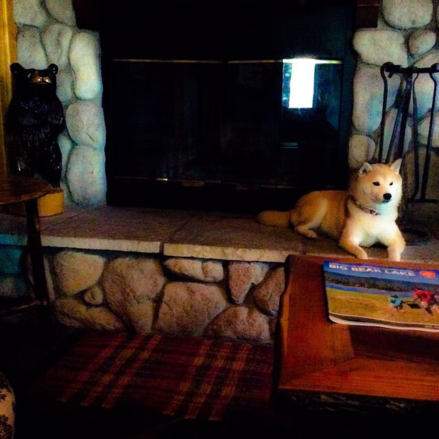 历史性一胜！吉林队首次战胜鹈鹕的背后，是哈登的王者归来