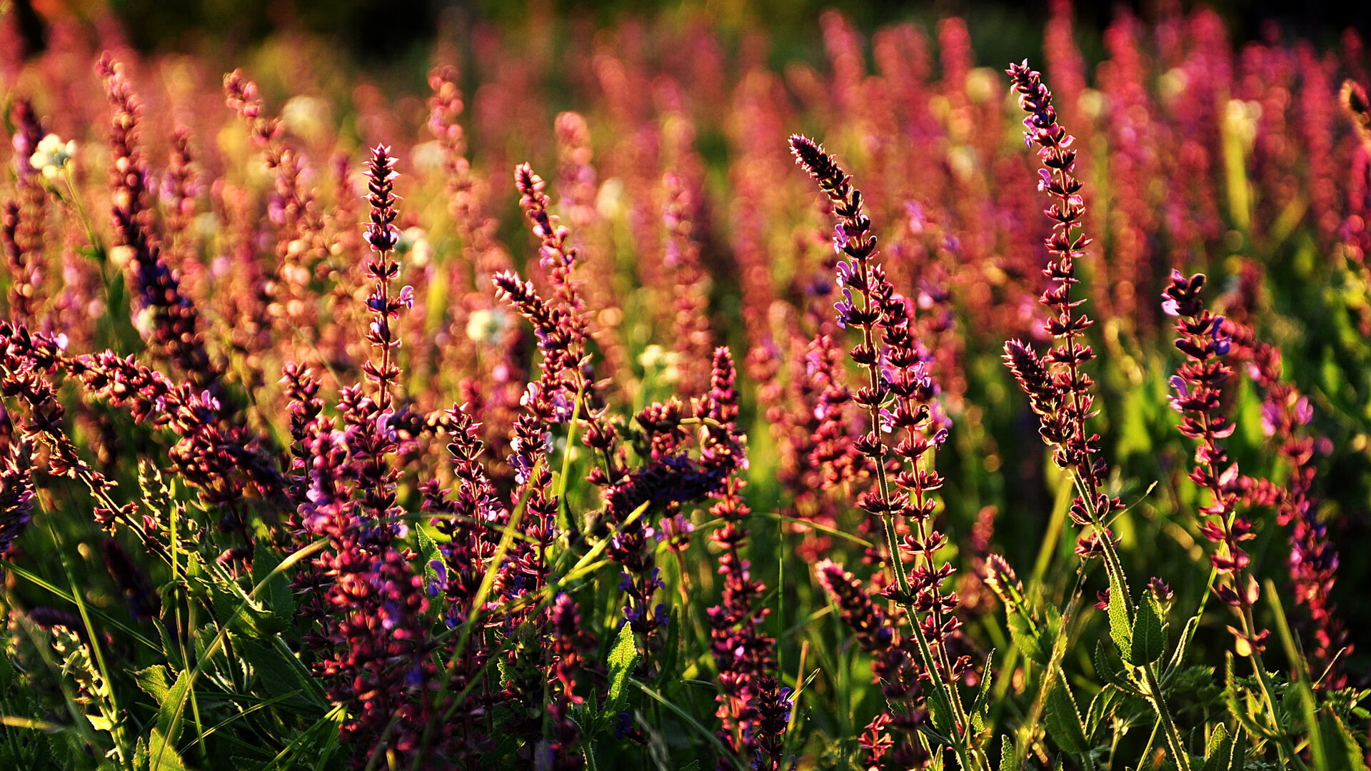 冰与火之歌，吉林队精密节奏掌控与爱德华兹冠军级表演的博弈