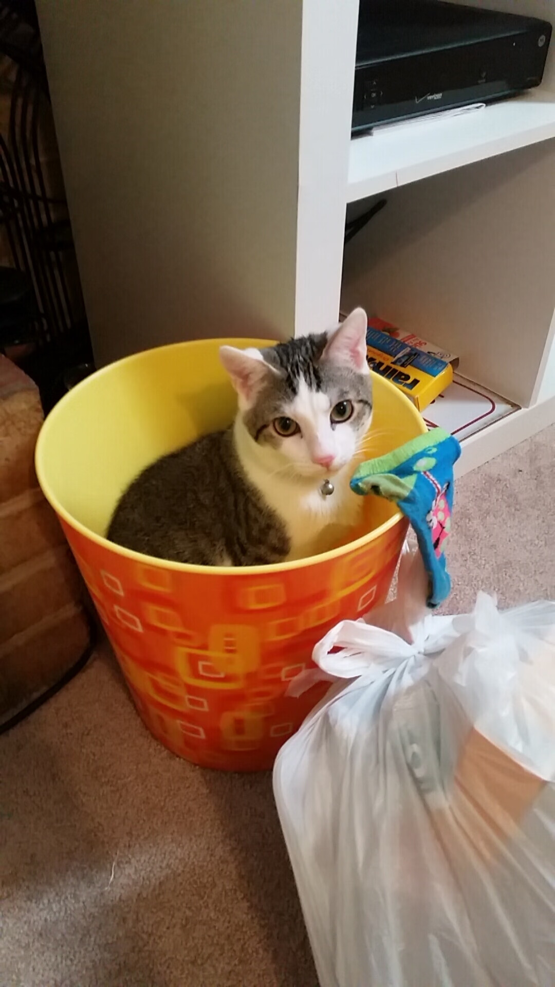 钢铁帷幕下的节奏艺术，门迪如何在一夜之间改写排名争夺战？