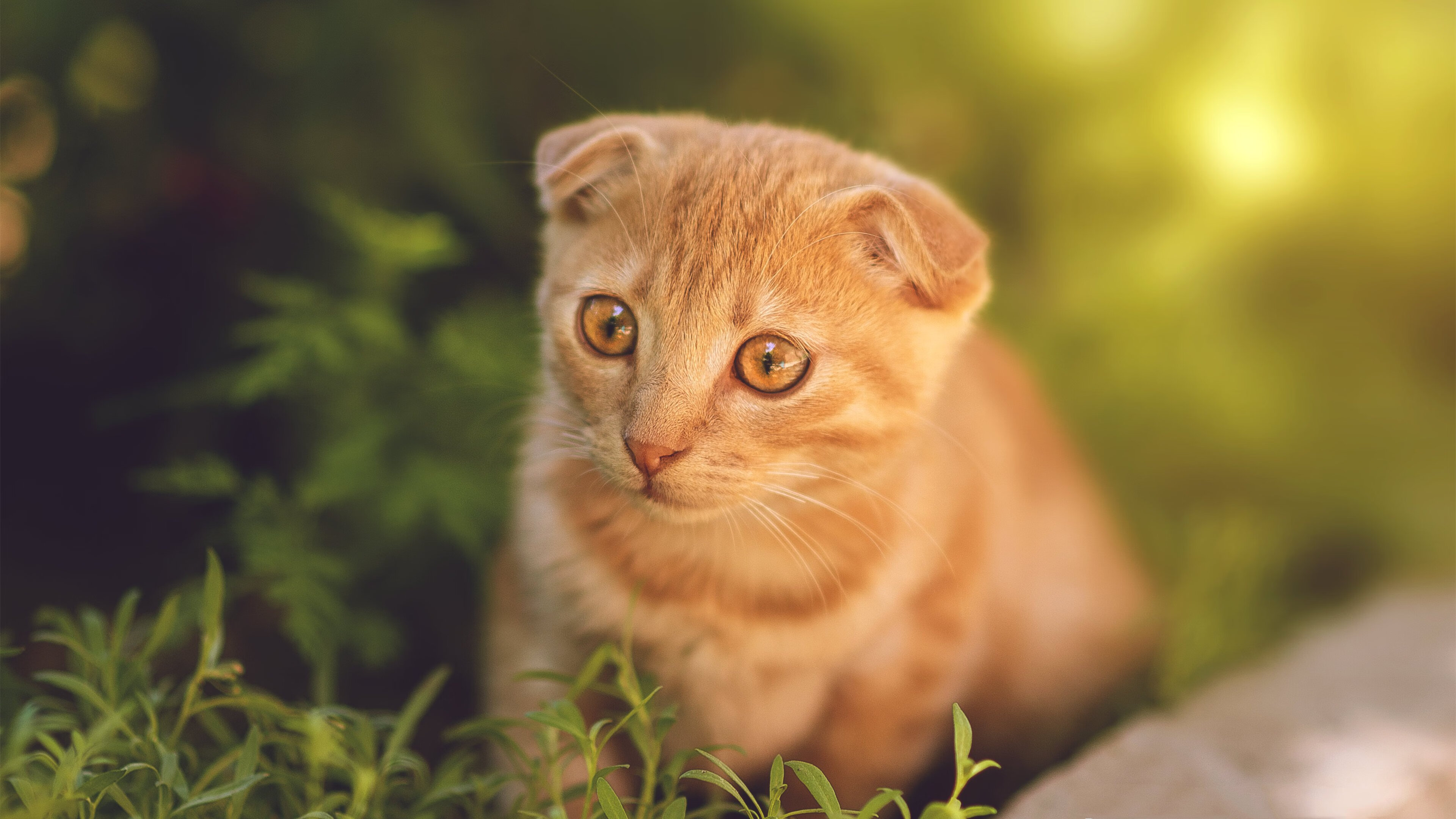 唯一节奏，曼城的巴西时间如何让莱比锡红牛静止
