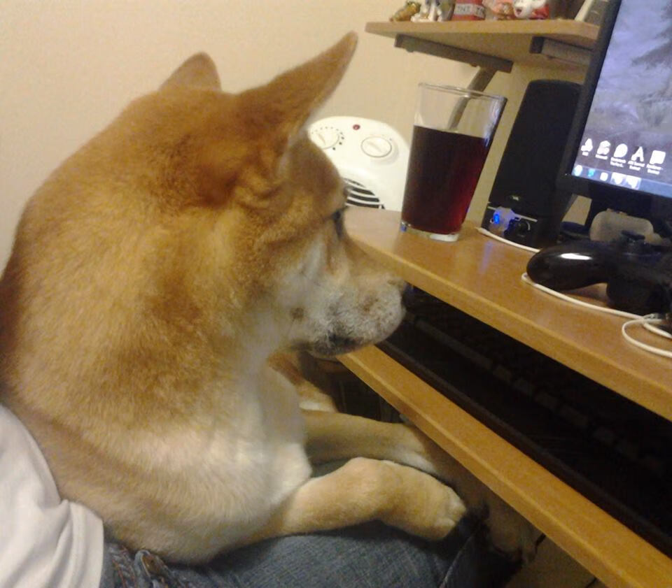 意甲焦点战难再现,勒沃库森的欧联淘汰赛启示录