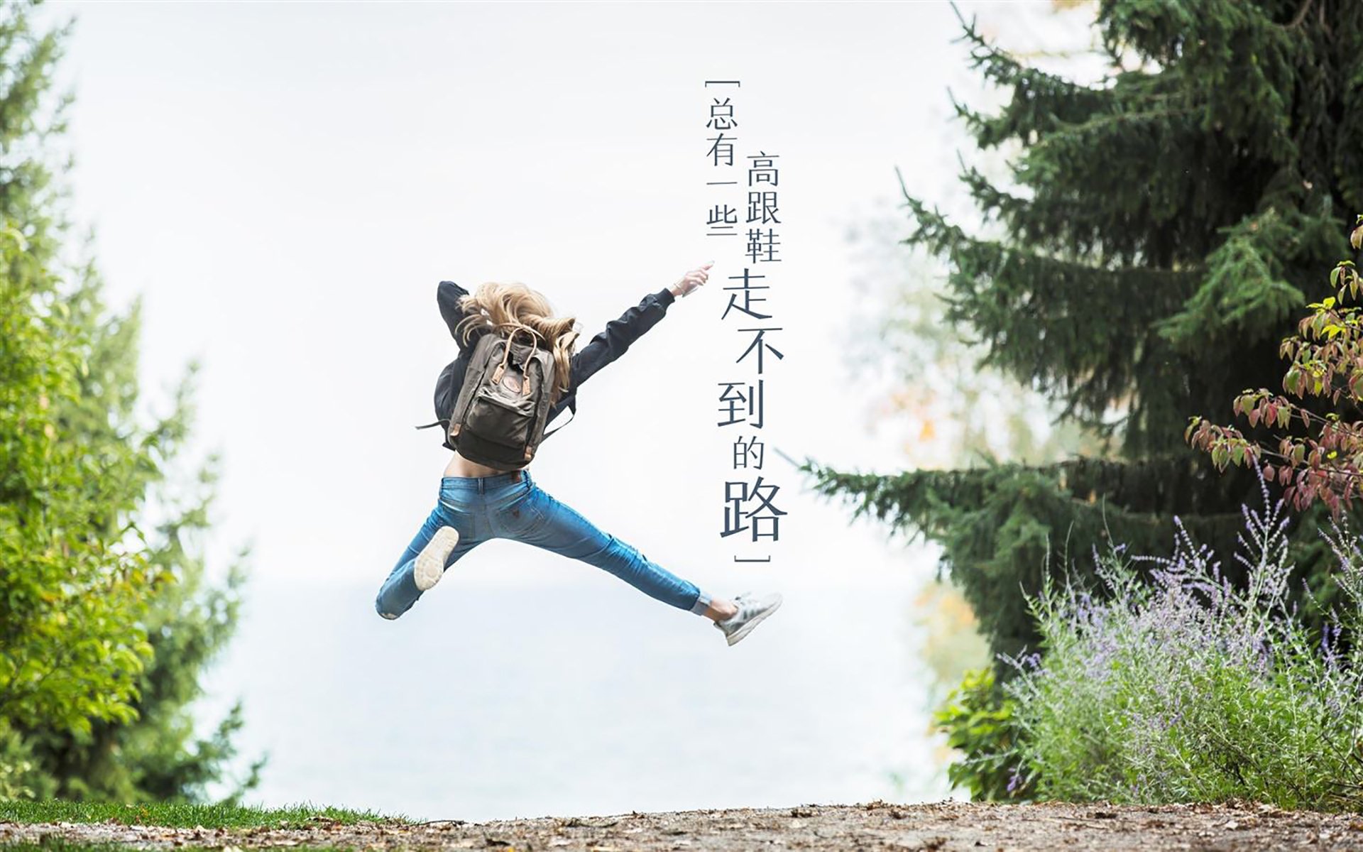 指挥官的密码,东契奇如何用节奏谱写独行侠的胜利交响