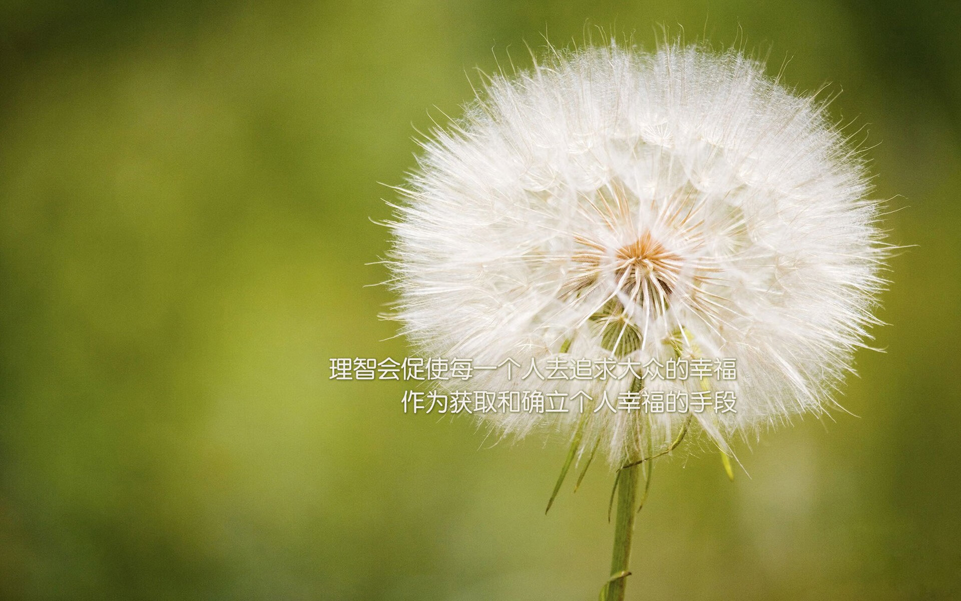 东方巨龙撞破篮球麦加—解析山西队历史性击溃尼克斯的唯一性，及杜兰特关键先生的封神之战