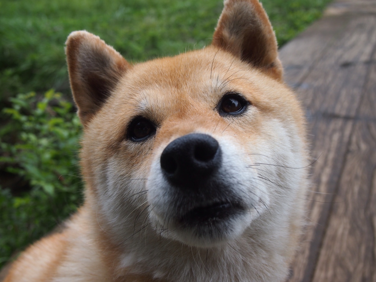 皇马出手!巴斯托尼爆发引关注,荷兰强势晋级成转会双重奏